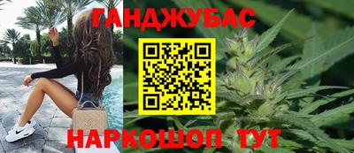 индика Аргун