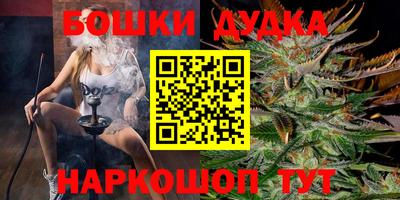 индика Аргун