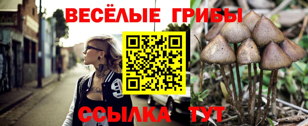 Галлюциногенные грибы мицелий  Галлюциногенные грибы Psilocybine cubensis  Вход с VPN  Владимир 